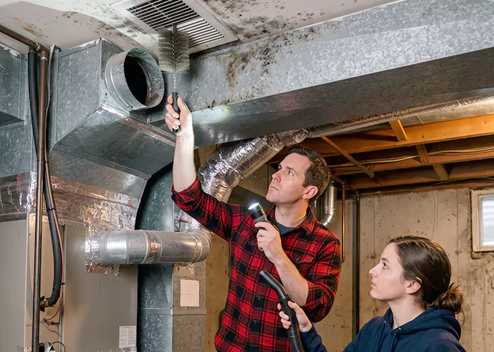 Premier HVAC Mold Remediation Company in New Brunswick